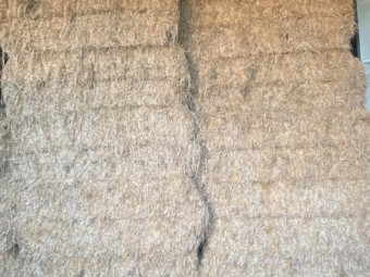 82 x Lucerne Hay 550kg 8x4x3