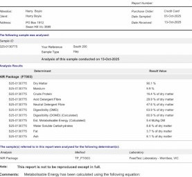 Pea Hay 16.4% Protein 