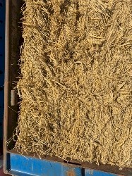 Rice Straw