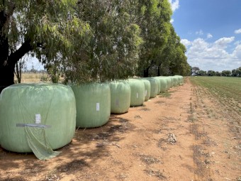 Lucerne Silage Rounds