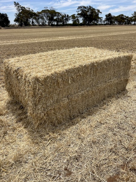 100mt Barley Straw 480kg 8x4x3 Bales