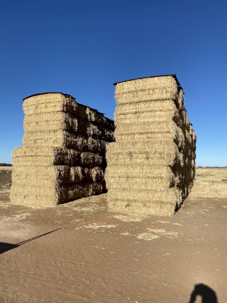 65mt Wheaten Hay 8x4x3 Bales