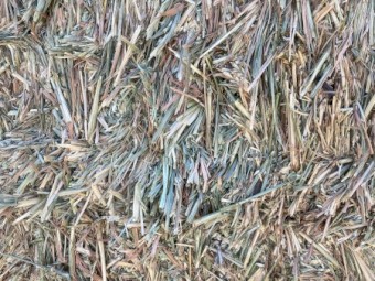 65mt Wheaten Hay 8x4x3 Bales