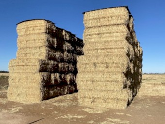 65mt Wheaten Hay 8x4x3 Bales