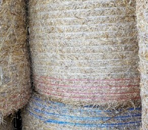 Oaten Hay Round 250kg 5x4 Round Bales  x 170