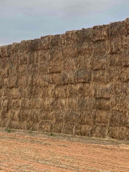 Mulgara Oaten Hay 8x4x3 Bales