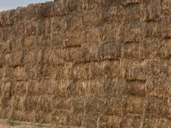 Mulgara Oaten Hay 8x4x3 Bales