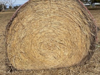 Wheat Hay Rolls