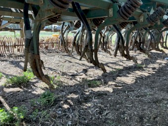 Shearer 14ft Combine