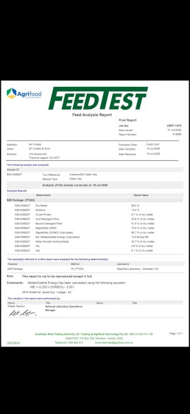500mt Export Quality Oaten Hay 8x4x3 Bales