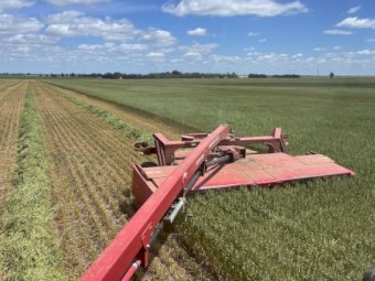 500mt Export Quality Oaten Hay 8x4x3 Bales