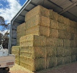 Wheaten Hay 8x4x3 Bales