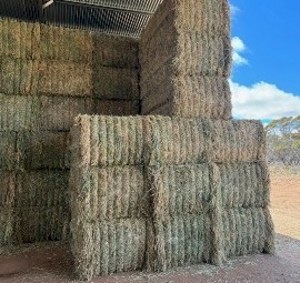 Wheaten Hay 8x4x3 Bales