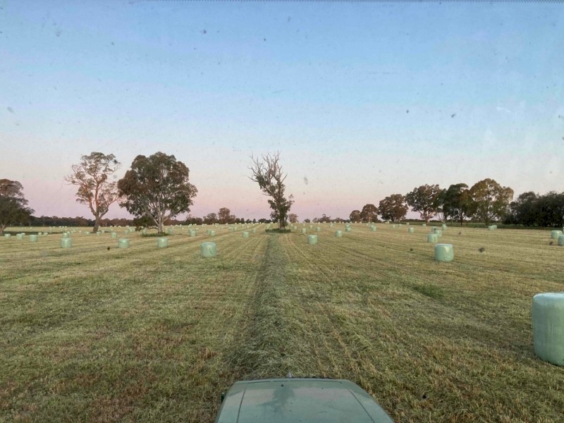 Pasture 4x4 Silage Rolls