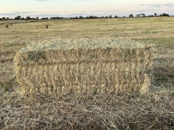 200mt Wheaten Hay 8x4x3 Bales (New Season 22/23)