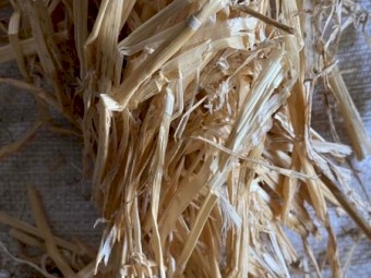 2019 windrowed barley straw 