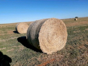 Mallee Cereals & Clover Hay Round Bales