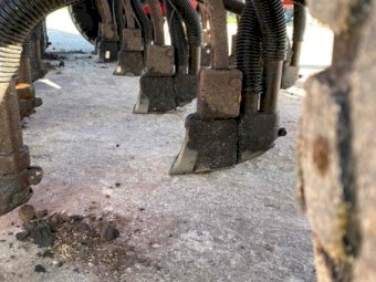 Duncan MK3 Renovator