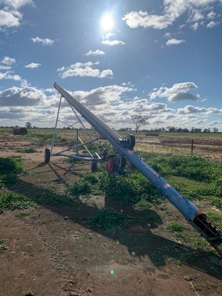 Grainline 50 x 8 Auger