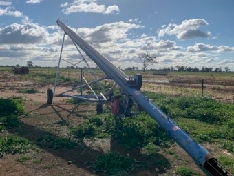 Grainline 50 x 8 Auger