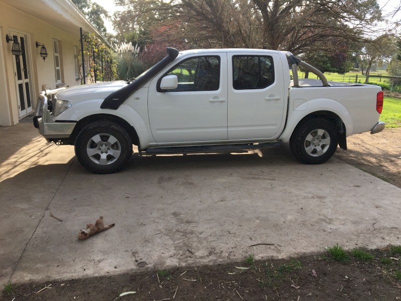 Navara Dual Cab St 2011