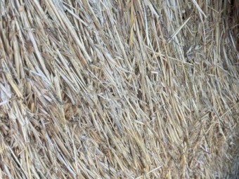 200mt Oaten Hay 8x4x3 Bales