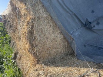 200mt Oaten Hay 8x4x3 Bales
