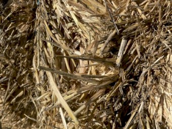 200mt Oaten Hay 8x4x3 Bales