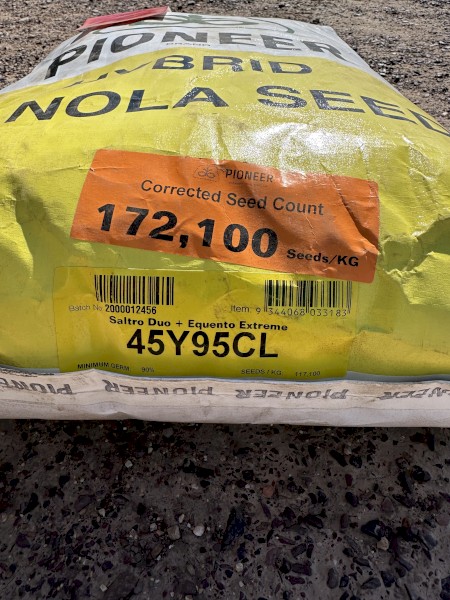 Canola Seed Pioneer 45Y95CL