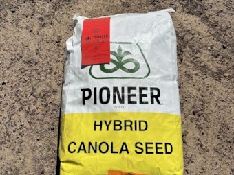Canola Seed Pioneer 45Y95CL