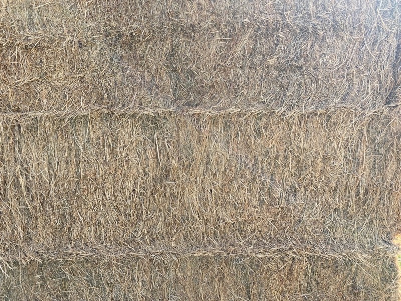 8x4x3 Lucerne Hay