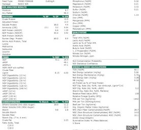 New Season Rye & Clover hay