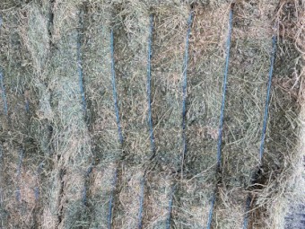 400mt Lucerne Hay 8x4x3 bales