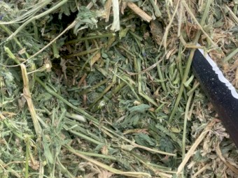 400mt Lucerne Hay 8x4x3 bales