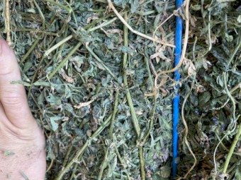 400mt Lucerne Hay 8x4x3 bales