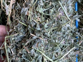 400mt Lucerne Hay 8x4x3 bales