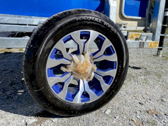 Clipex Sheep Handler Contractor Model