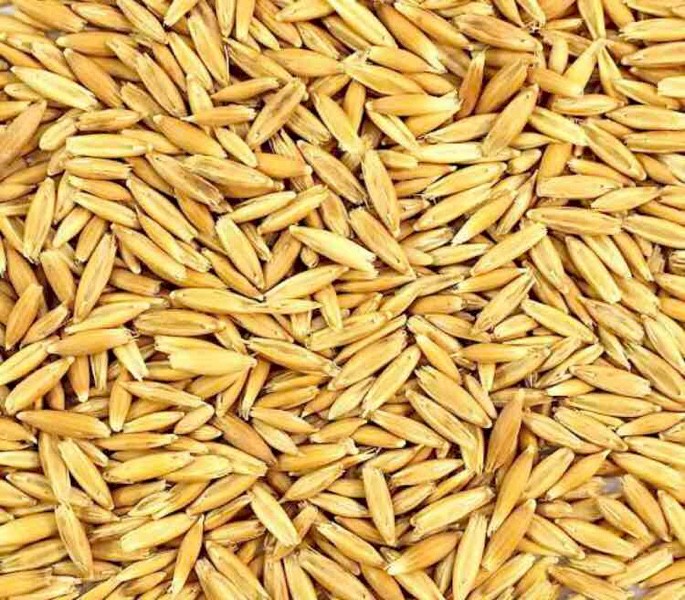 80mt Wintaroo Oats For Stock Feed