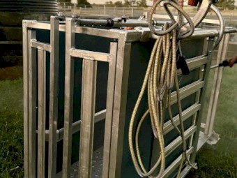 Gallagher Weigh Crate, Load Bar and TW3 Indicator