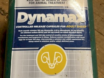 Dynamax Capsules 