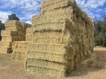 Grass Straw tailings