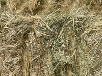 Grass Straw tailings