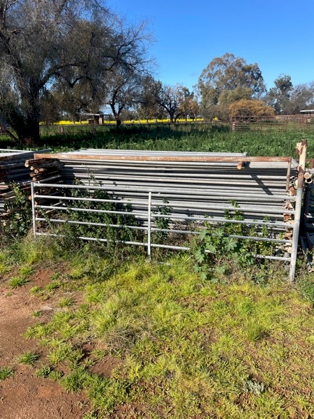 Sheep Yards 6 Rail