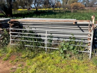Sheep Yards 6 Rail