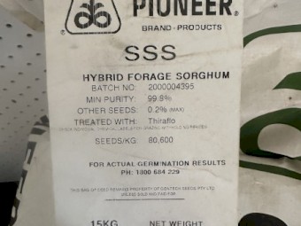 SSS Hybrid Forage Sorghum Seed