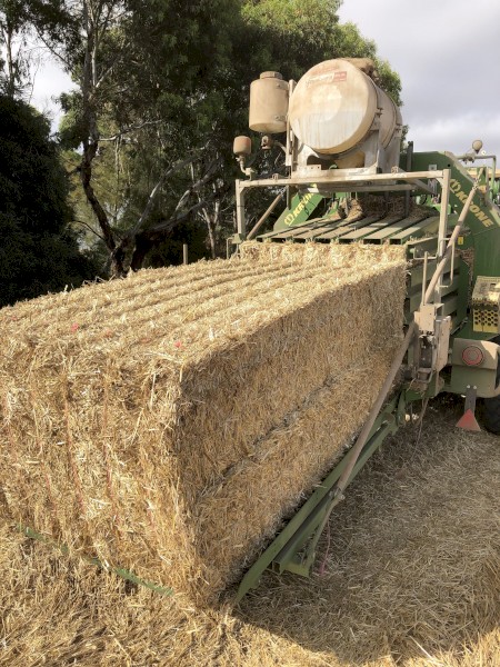 500mt Cereal Straw 8x4x3 Bales