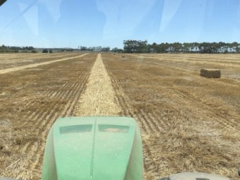 500mt Cereal Straw 8x4x3 Bales