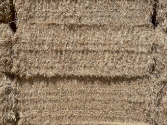  Clover Hay 8x4x3 Bales