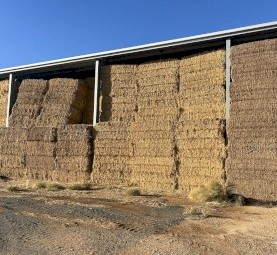 Oaten Hay
