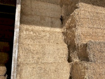 320mt Wheaten Straw 480-500kg 8x4x3 Bales (20/21 Season)